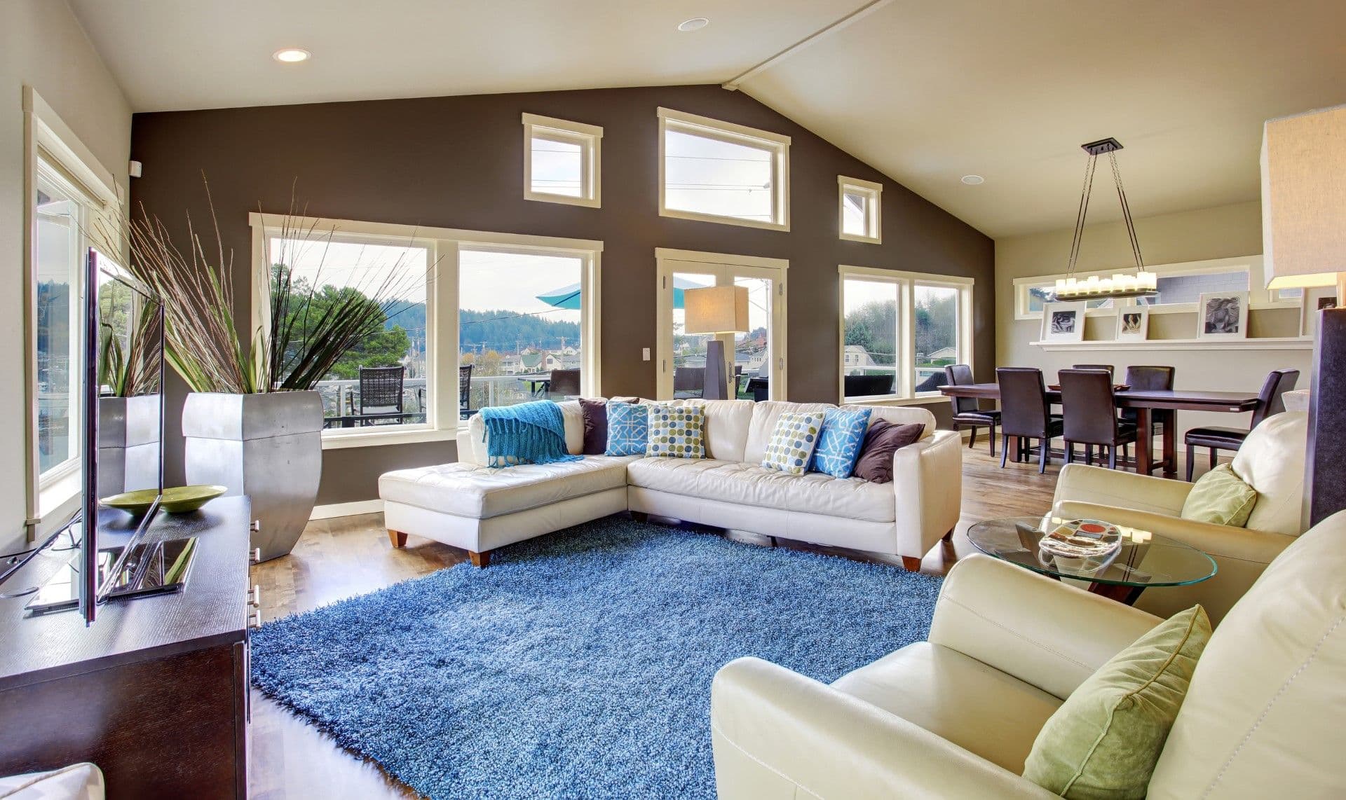 Windows in living room