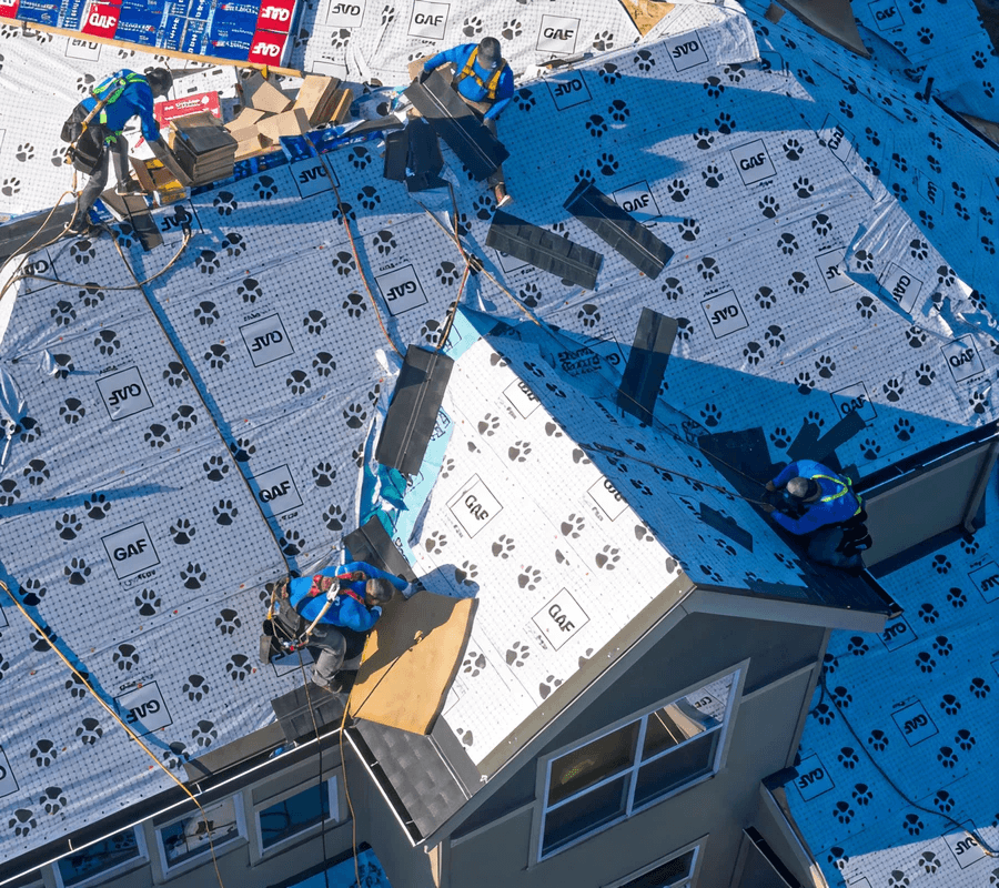 Roofing crew working on a house, laying gray shingles over protective underlayment with paw prints.