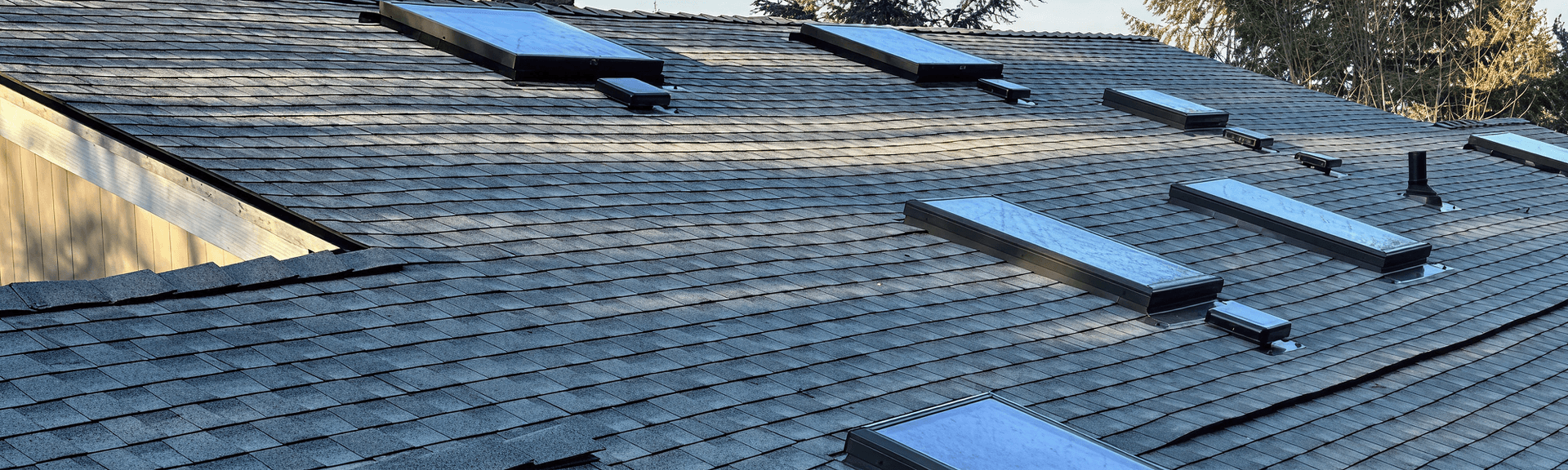 A shingled roof with multiple rectangular skylights aligned in rows. Sunlight casts soft shadows, and evergreen trees are visible in the background.